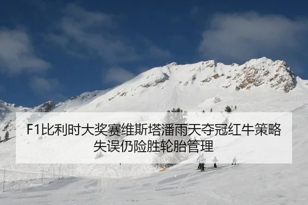 bi-li-shi-da-jiang-sai-wei-si-ta-pan-yu-tian-duo-guan-hong-niu-ce-lve-shi-wu-reng-xian-sheng-lun-tai-guan-li-3-166.jpg